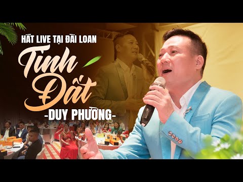 Tình Đất - Duy Phường | Giọng Hát Trữ Tình Ngọt Ngào Chiếm Trọn Trái Tim Người Nghe
