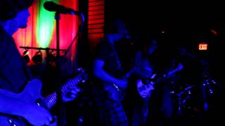 "Couldn't We YEM" ~ Pigeons Playing Ping Pong 2-2-13 Barns of Rose Hill