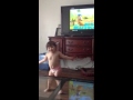 Veggie Tales Dance