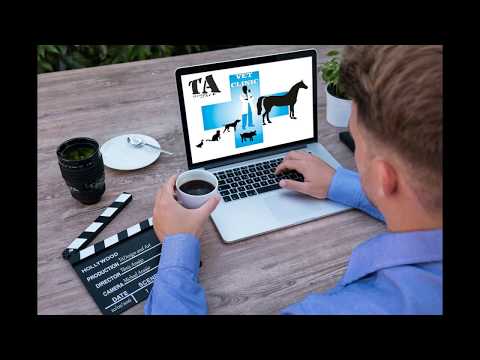 T. A. Design and Art Presentation Video