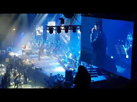 Dimash in Düsseldorf 30.11.2019 The love of tired swans