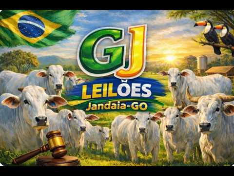GJ LEILÕES -  04/08/2026 - JANDAIA GOIAS
