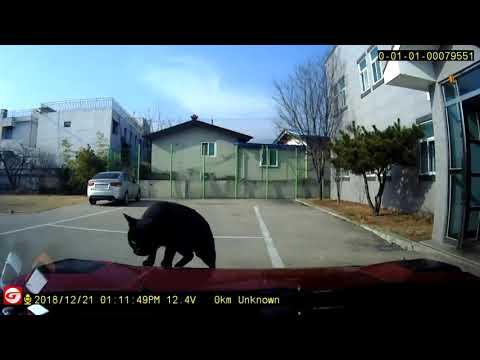 여기가 느그 안방이냥