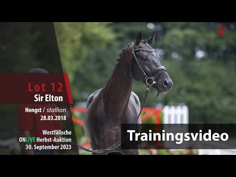 ONLIVE Herbst-Auktion Trainingsvideo Lot 12 Sir Elton Hengst v. Sir Donnerhall I - Totilas