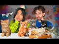 We Made A MISTAKE Adopting Abandoned Kittens
