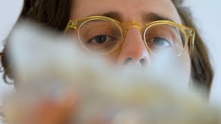 Cover art for There is a Rock in my House