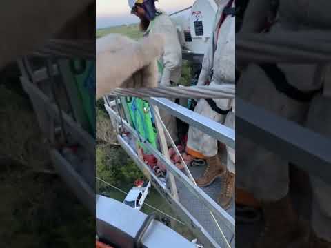 高圧線が白血病の引き金になる?