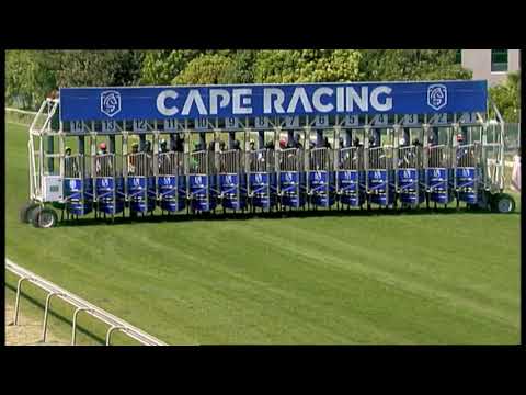 2021.01.30 Cape Flying Championship (RSA) - Run Fox Run