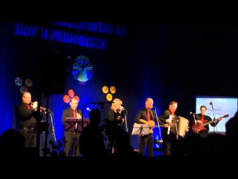ZIDANIŠKI KVINTET - MATI DOMOVINA (live - PŠ Dolenja N. vas - 27. 03. 2015)