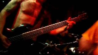 Circle of Dead Children - Fuck the World