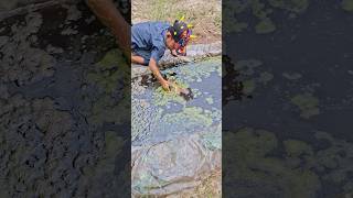 Download lagu Catching King Carp mp3 Download lagu Catching King Carp mp3