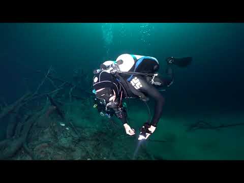 Scuba Diving in Cenote Angelita - Surreal underwater river dive in Tulum Mexico