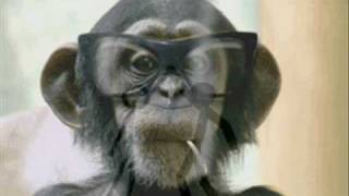 Alan Parsons Project - Psychobabble -update