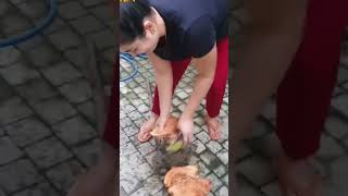 Ruwangi Rathnayaka at home | Funny Moment #Shorts