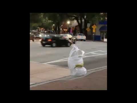 Plastic bag walking on street  |  Top Most Videos