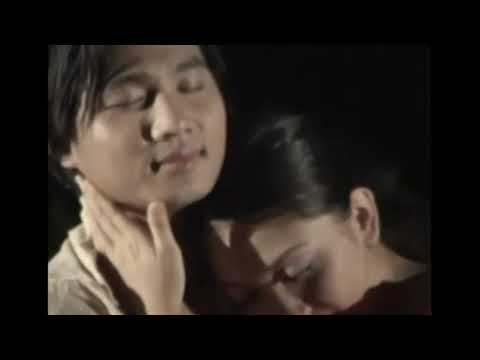 Cuộc tình đã xa - Lâm Vũ