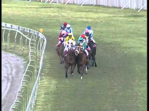 THE STUD MASTER PLATE. Meeting 21 Race 8 - 2011-218.avi