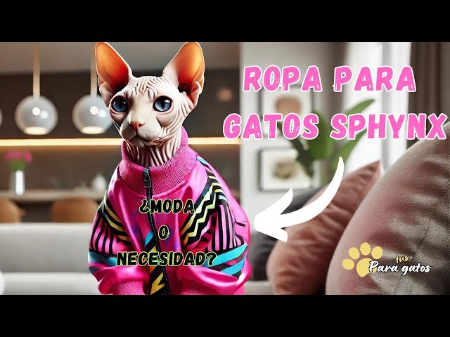 Vídeo relacionado con Sphynx Ropa de Gatos Invierno - Jersey Cálido Chaleco Pijama Suéter de Punto Mono sin Pelo, Abrigo de Invierno para Gato Chaqueta (Azul, M)
