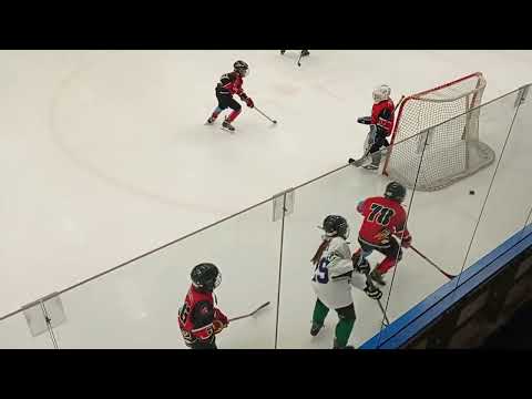 U10-Veszprém 2022.03.19. VUA Pandák-Szombathelyi Pingvinek 1/1