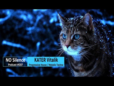 KATER Vitalik - No Silence (Progressive House / Melodic Techno) - Special Chrismas Mix - Podcast#007