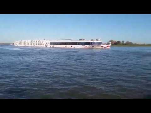 Cruise Liner A ROSA FLORA / Rhein /  MMSI 211621310