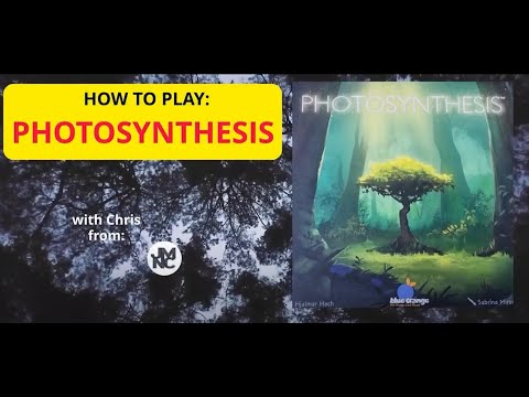 How to play Photosynthesis