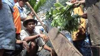 Download lagu baluntang.mpg mp3