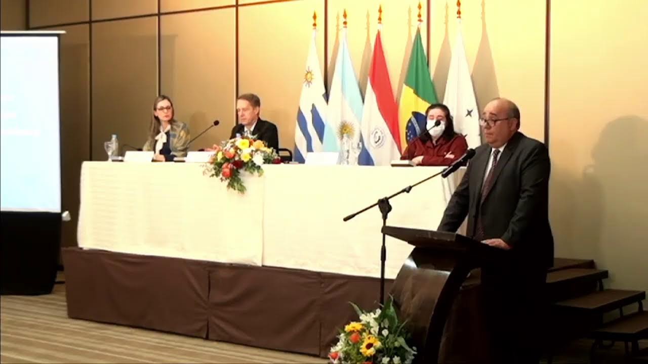 Instituto Social del MERCOSUR