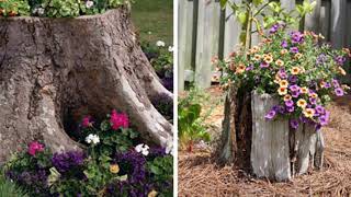75+ Old Tree Stumps Turned Ideas  Into Beautiful Flower Planters