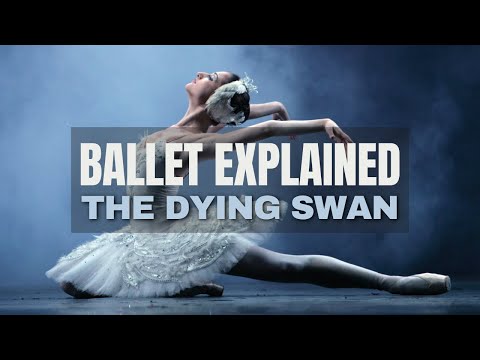 The Dying Swan - Ballet Explained