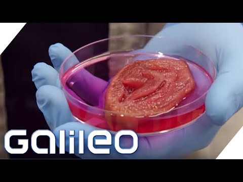 Is that possible? Replacement ears made from apples | Galileo | ProSieben