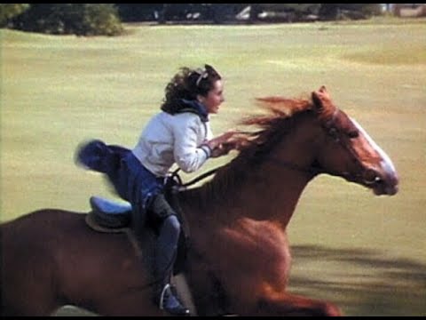 Velvet wins The Pie, the horse - National Velvet (1944) (Add Subtitles)
