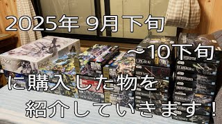【雑談動画】待望のMG FAZZ Ver.ka Ex-Sが再販！？ガンプラ再販品やその他購入したスターウォーズのプラモデルなどを紹介していきます！