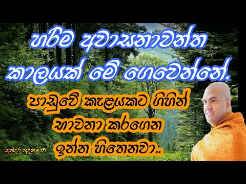 Walpola Gothama Thero පූජ්‍යපාද වල්පොළ ගෝතම ස්වාමීන් වහන්සේ.