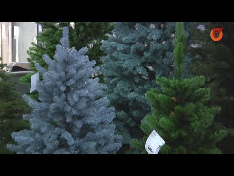 Что следует знать перед покупкой искусственной елки?