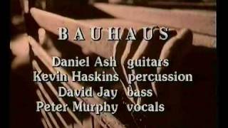 Bauhaus - The sanity assassin