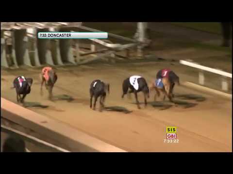 Tea For Tess - BGBF British Bred Oaks 2018