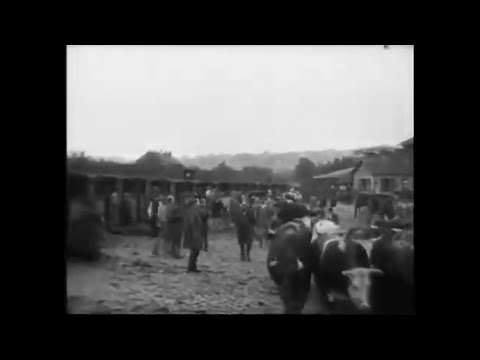 1896/97 - Marché aux boeufs à la Villette (Mercado de carne em La Villette) - Frères Lumière