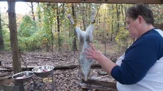 Dispatch and skin a rabbit cleanly