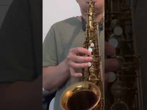 20xxx Selmer Radio Improved Alto Saxophone - Great Player! image 12