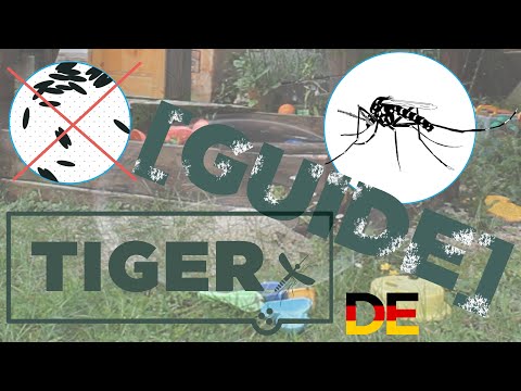 Tigermücken Prävention - Kinder-Spielzeug [TIGER Guide]