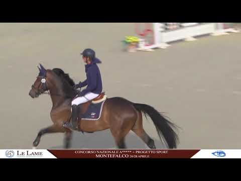 FHF Brewster Vd Brouwershoeve Z Stallion 4yr (Balou Du Rouet X Weltcup II)