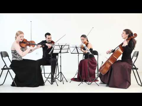 Habanera String Quartet - Hungarian Dance No. 5 - J. Brahms