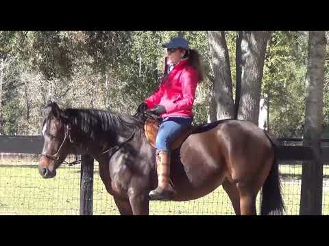 Beginner Riders Most Common Mistakes, Part III