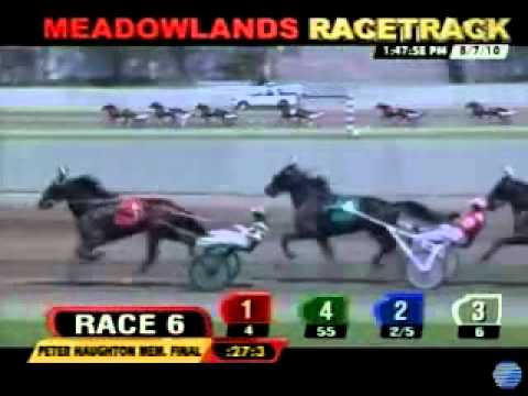 Peter Haughton Memorial 2010 -The Lindy Reserve