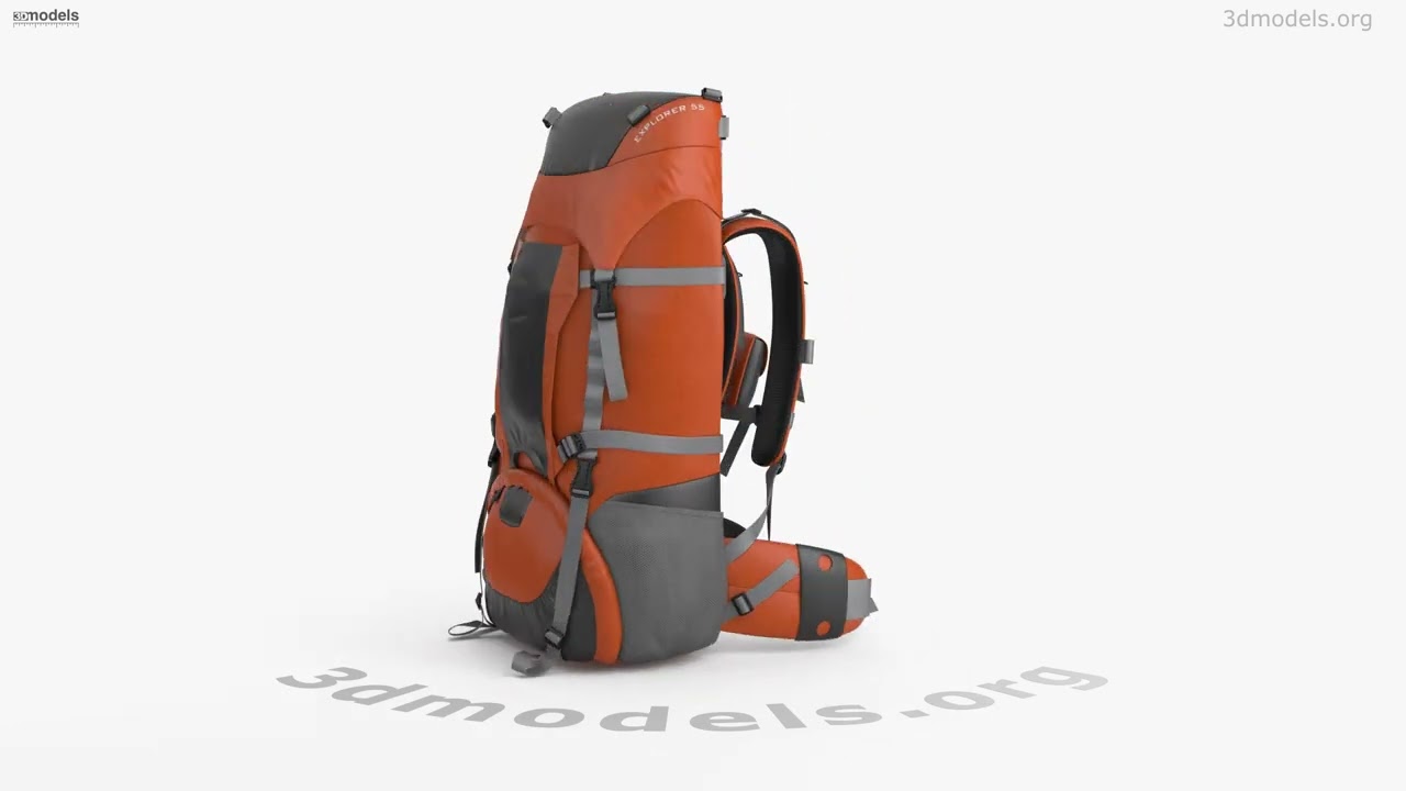 Tourist Backpack 3D model by 3DModels.org