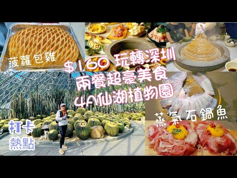 《深圳好去处 2023》仙湖植物園😲$160 玩轉深圳 | 一日遊 | ⭐️6星雲南🐟蒸氣石鍋魚| 創意美食🍍菠蘿包雞| 蓮塘口岸自駕遊| 🧧深圳旅遊小錦囊|👩‍❤️‍👨情侶拍拖👨‍👩‍👦‍👦合家歡