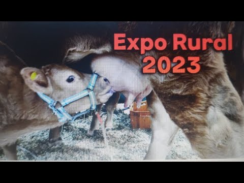 VEGANOS ABSTENERSE!. Razas campeonas y tecnología de punta en el agro argentino