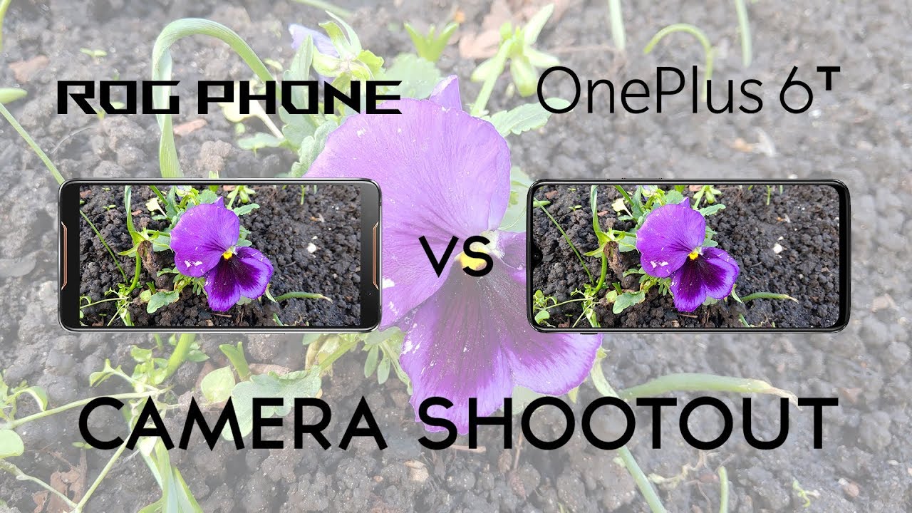 Asus Rog Phone vs OnePlus 6T: Camera Shootout