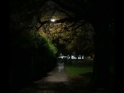 trap of love - hex girls (scooby doo) | COVER